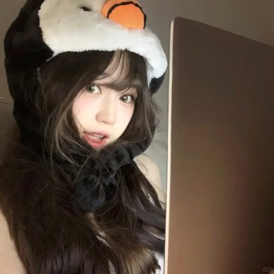 我的宠物是大象